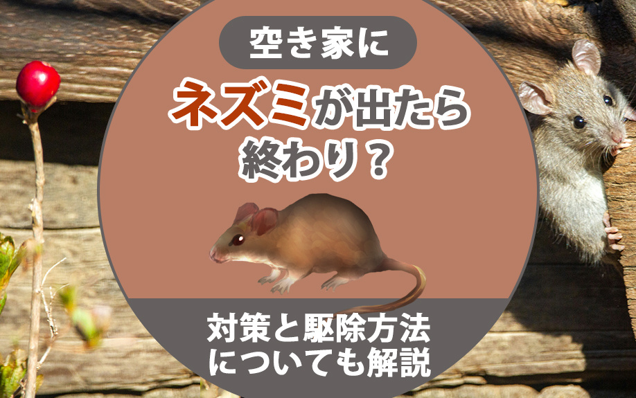 空き家にネズミが出たら終わり？対策と駆除方法についても解説