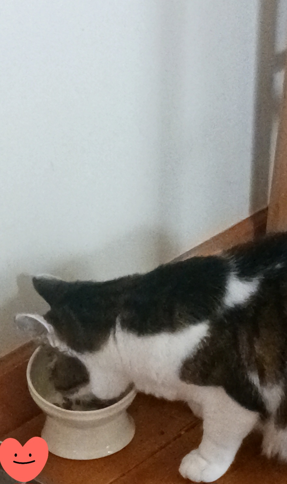 スムトコ不動産事務サポートOのブログ『陶芸教室㊱』の画像