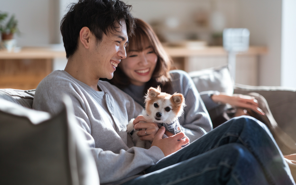 札幌市でペット可物件を探すカップル必見！二人向けの選び方や注意点をご紹介の画像