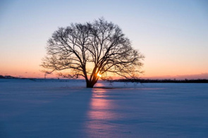 あっという間に、もう2月の画像