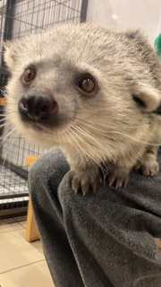 モフモフ♪癒しの休日(^-^)2026年はの画像