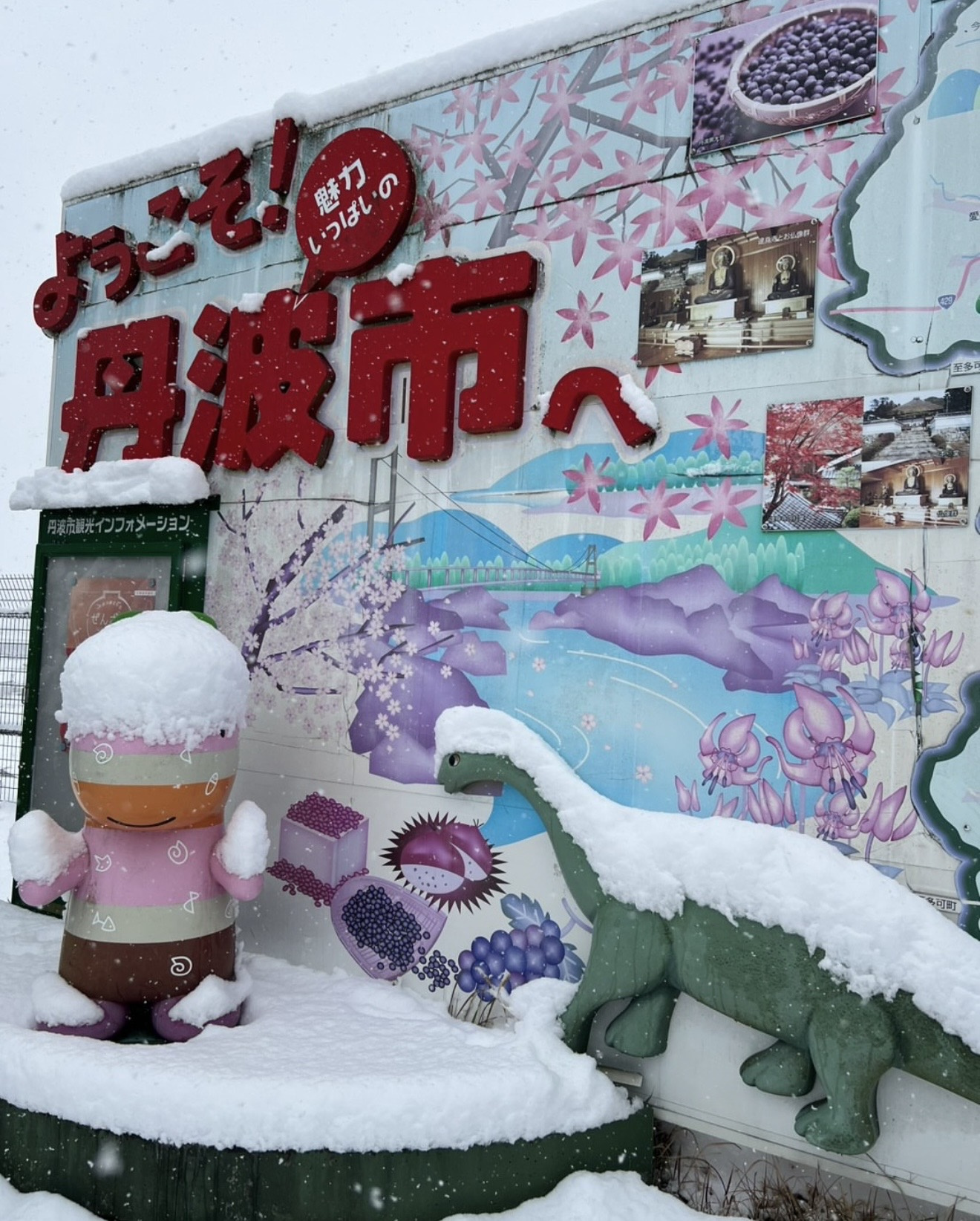 丹波市の雪景色を撮影|市内で感じた冬本番の一日の画像