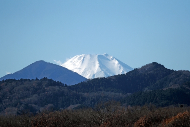 八王子市みなみ野にある「栃谷戸公園」の魅力！見どころもご紹介の画像