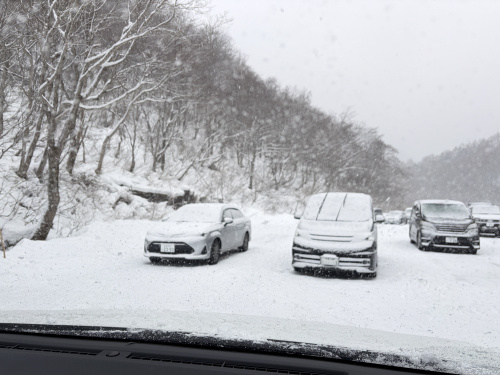 Snow Paradiseの画像