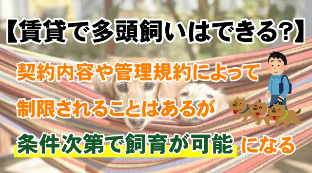 【賃貸で多頭飼いはできる？】ペット可物件の探し方と交渉ポイント！の画像