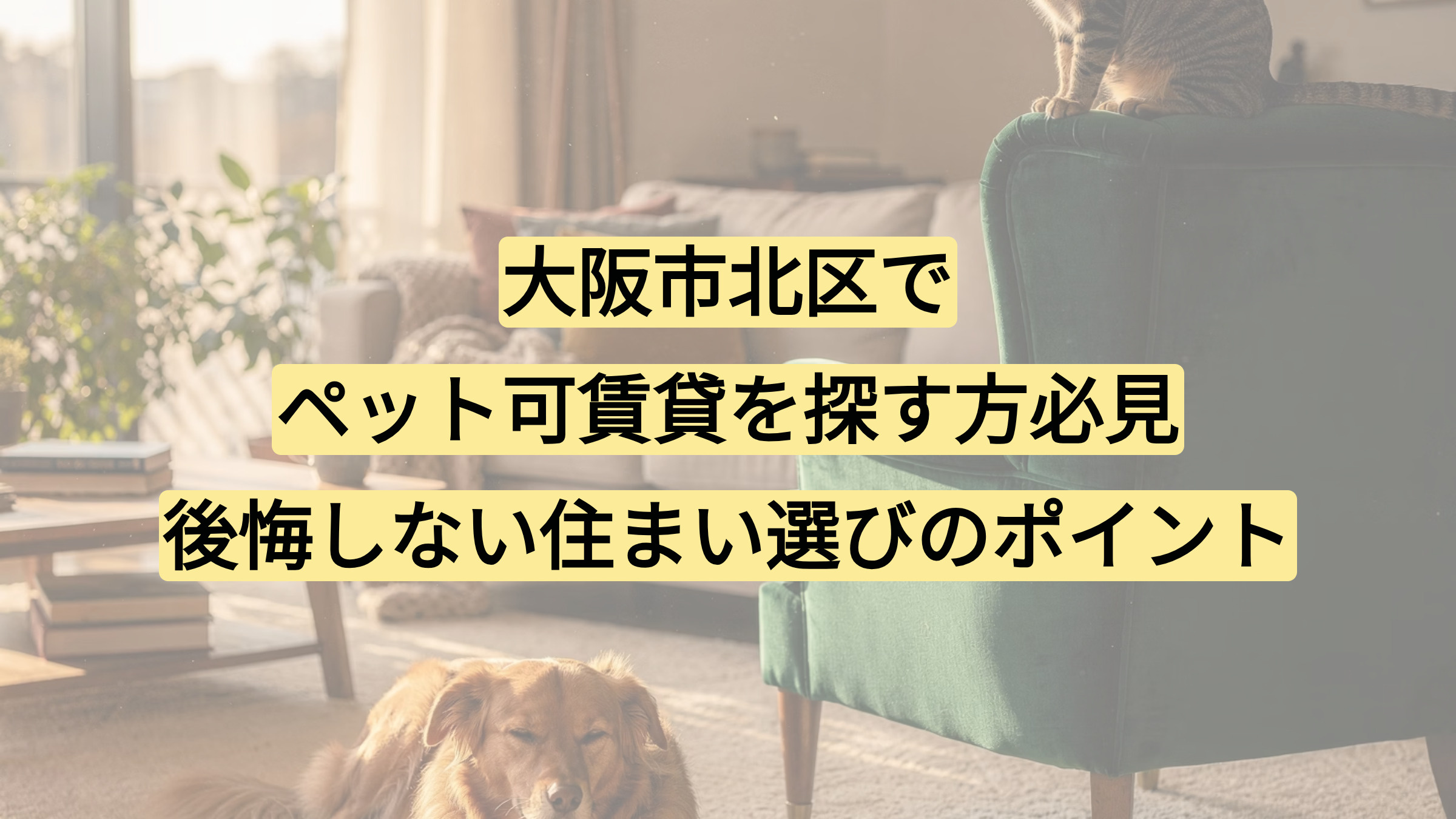 大阪市北区でペット可賃貸を探す方必見｜後悔しない住まい選びのポイントの画像