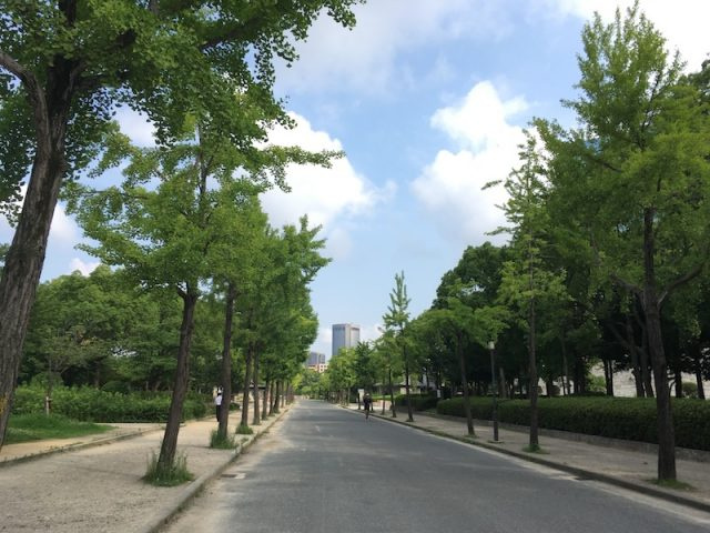 ※削除不可※ 野村 泰市 スタッフ詳細用の画像