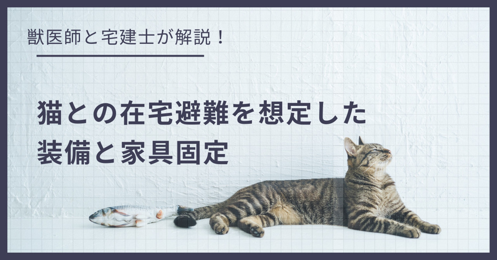 災害時、賃貸マンションは安全？猫との「在宅避難」を想定した備蓄と家具固定の画像