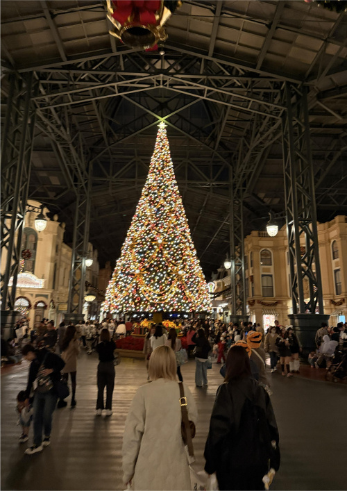 東京ディズニーランドの画像