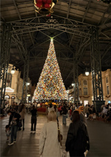 東京ディズニーランドの画像