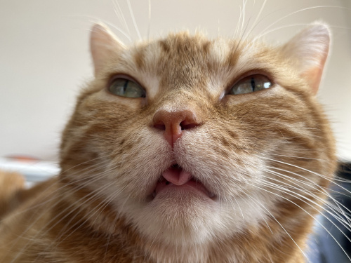 今年の冬は・・・の画像