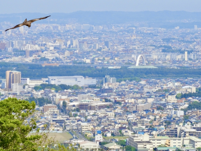 【2026年最新】平塚移住完全ガイド：湘南で最もコスパが良い街への引っ越し徹底解説の画像
