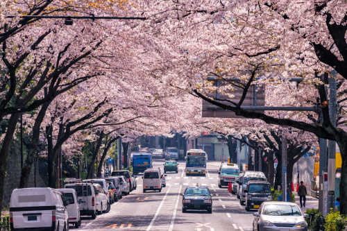 What to Do After Arriving in Japan: A Step-by-Step Guide for New Residentsの画像