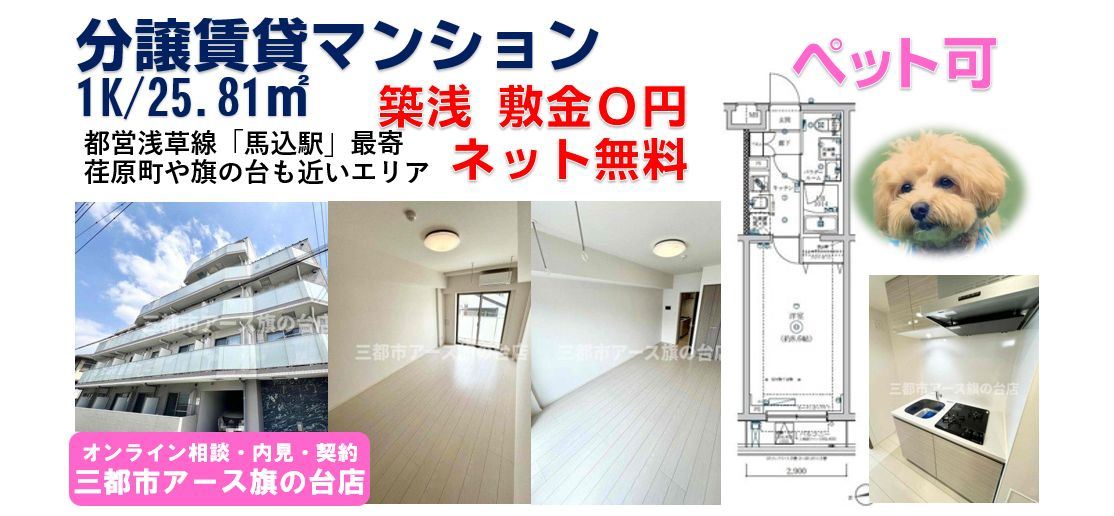 【SQUARE CITY NAKAMAGOME】
