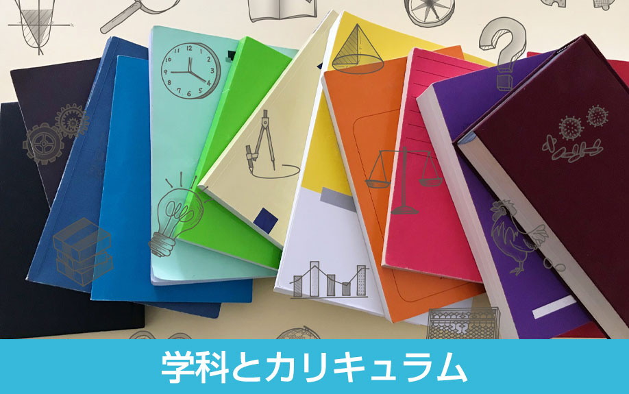 「大森学園高等学校」の学科とカリキュラム