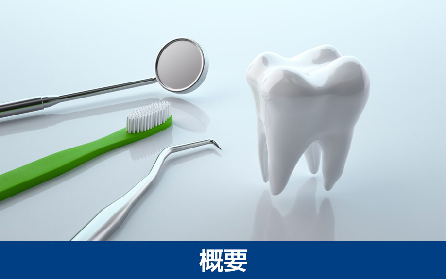 「金山ファイン歯科・矯正歯科」の概要