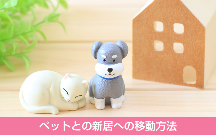  ペットとの新居への移動方法