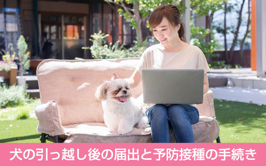  犬の引っ越し後の届出と予防接種の手続き