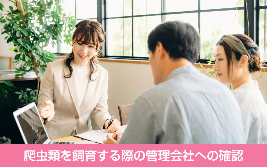 爬虫類を飼育する際の管理会社への確認
