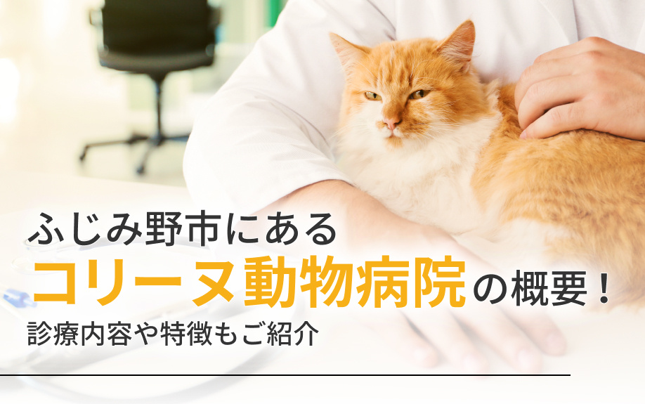 ふじみ野市にある「コリーヌ動物病院」の概要！診療内容や特徴もご紹介の画像