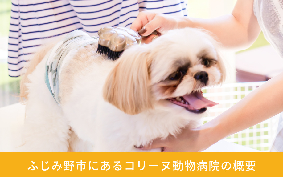 ふじみ野市にある「コリーヌ動物病院」の概要