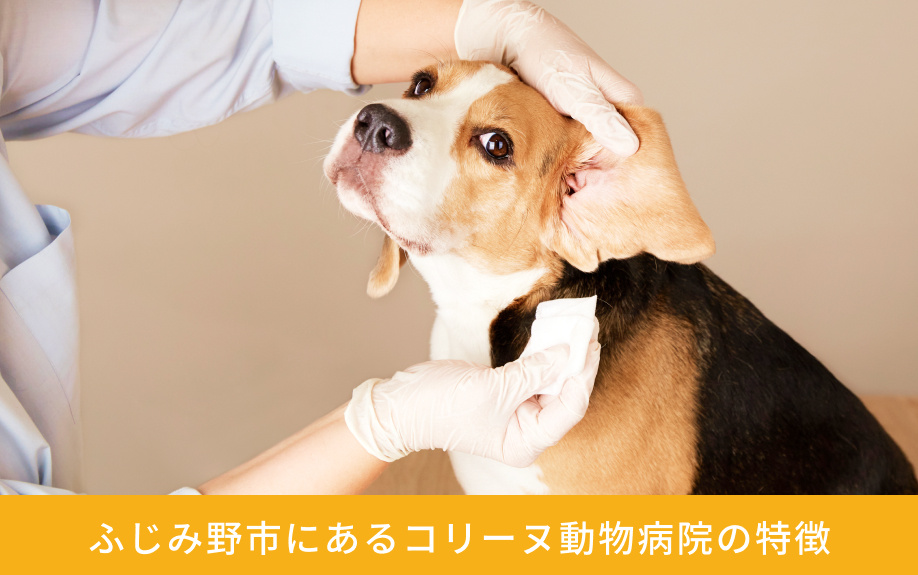 ふじみ野市にある「コリーヌ動物病院」の特徴