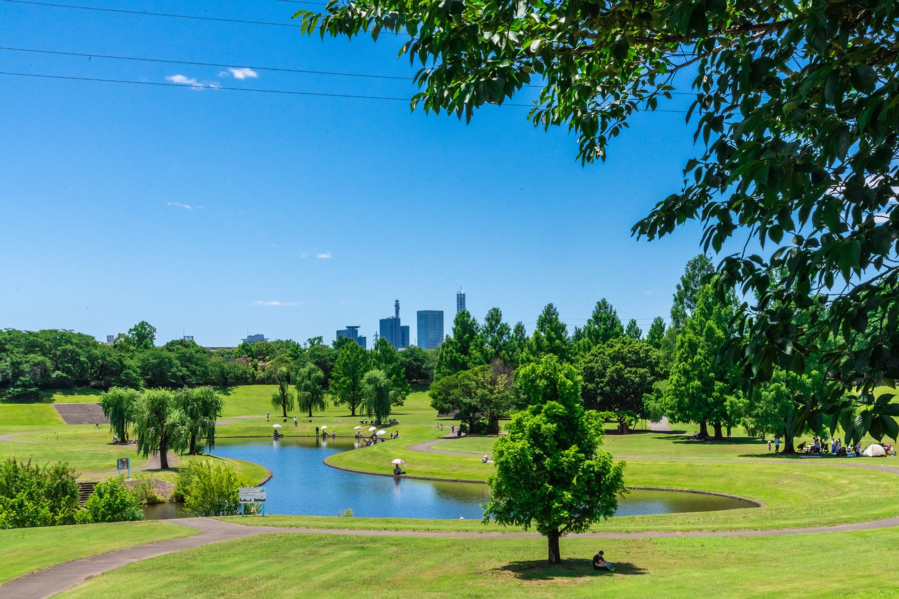 さいたま市はどういう街？の画像