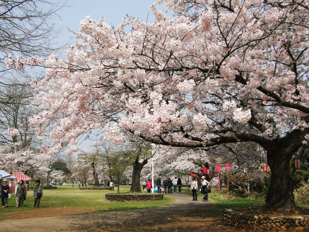 【前編】新潟県柏崎市で感じる、四季のうつろい！の画像