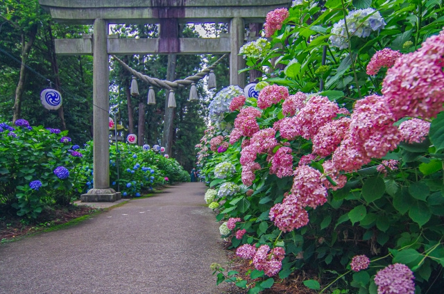 【鹿沼市】にある「磯山神社」の魅力！おすすめスポットもご紹介の画像