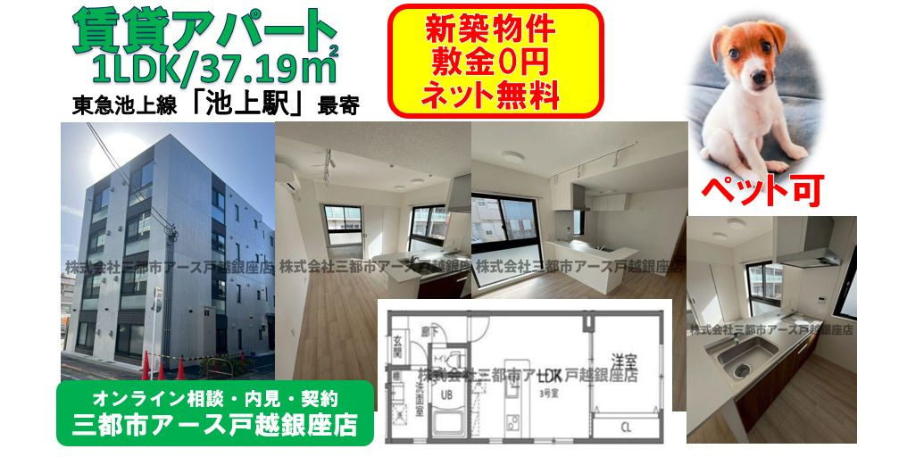 カノアイケガミ【KANOA池上】