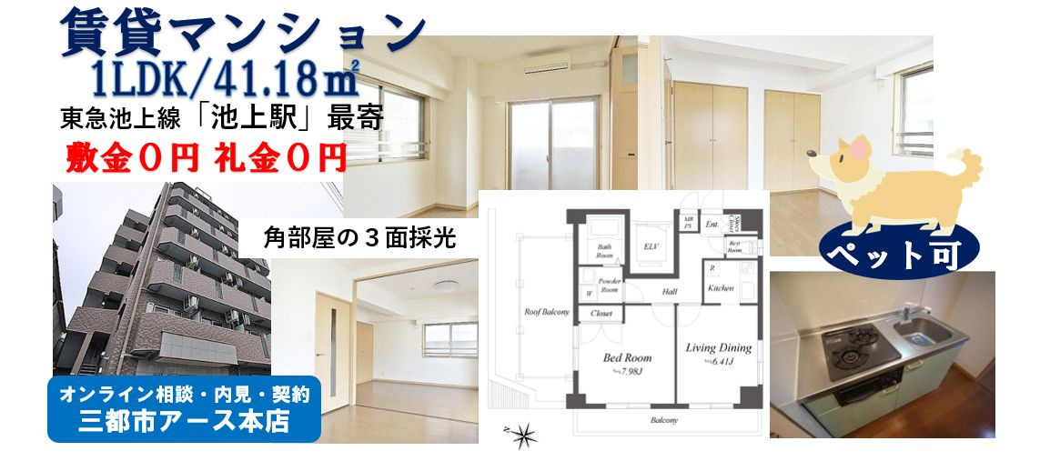 【ニューシティアパートメンツ久が原】