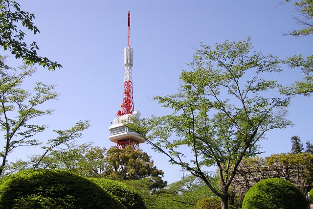 「八幡山公園」の特徴