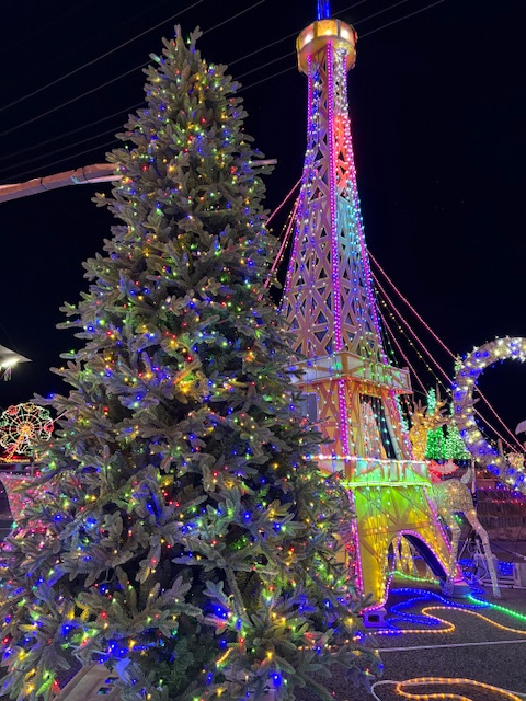 イルミネーション°˖✧＊。✧˖°の画像