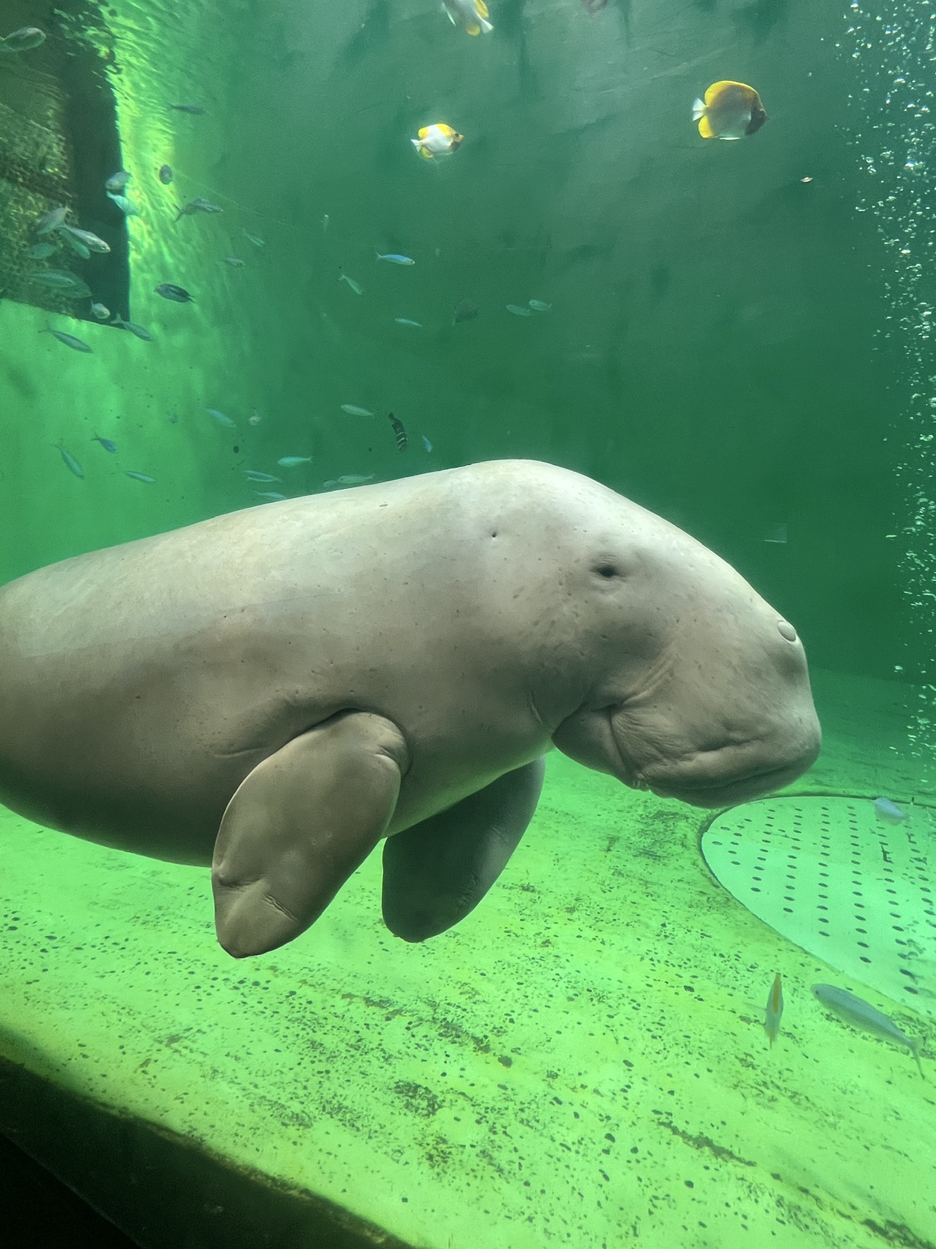 貴重な生き物たち！の画像