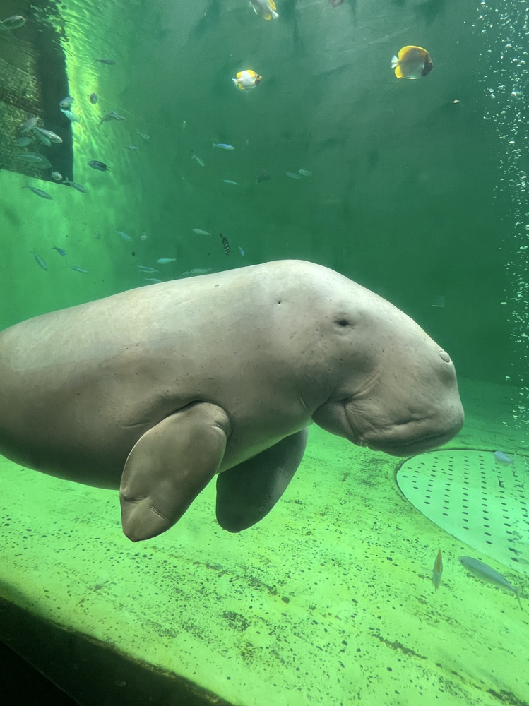 貴重な生き物たち！の画像