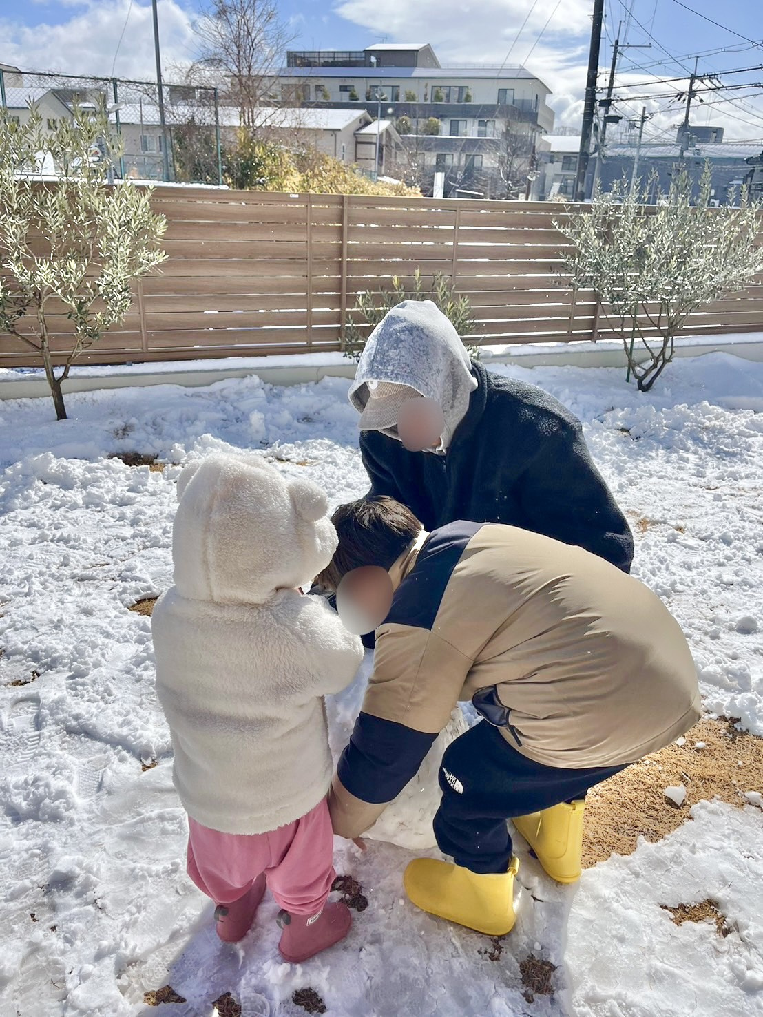 雪、、、積もりませんねの画像