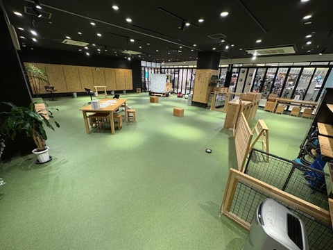 最近の千葉のワンコの画像