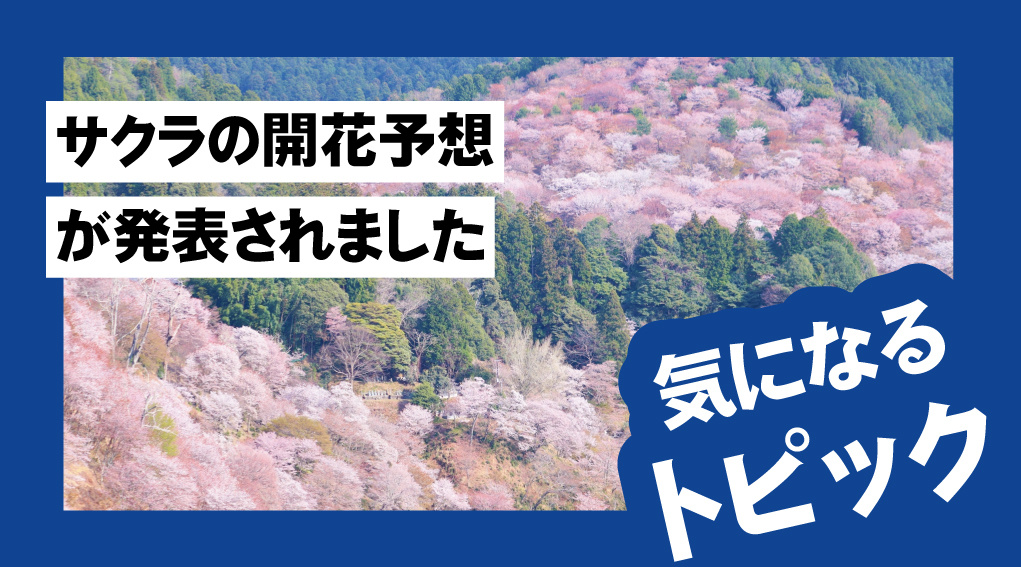 サクラの開花予想が発表されました｜奈良の春はいつ始まる？暮らし目線で考える開花の話の画像
