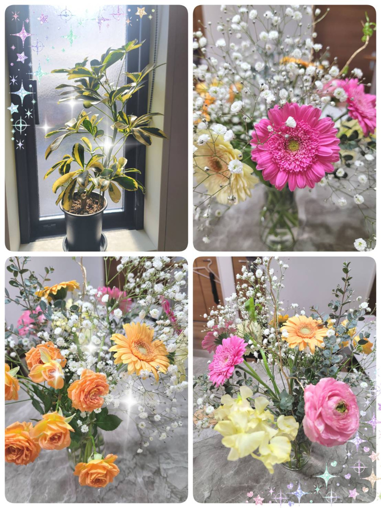 気分を上げて行こう！！の画像