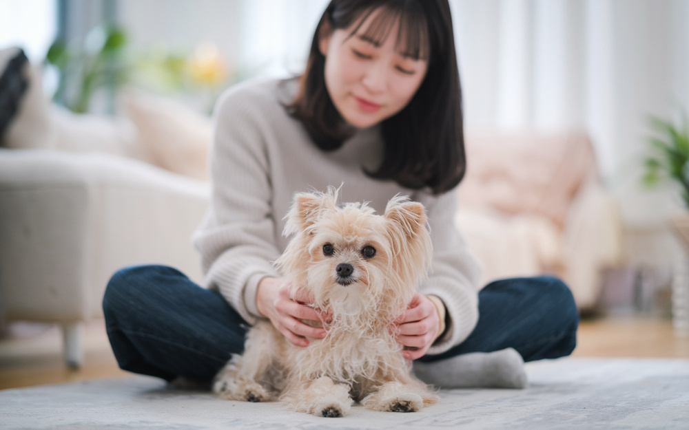 富田林で小型犬と暮らせる賃貸を探すなら？ペット可物件の選び方や注意点をご紹介の画像