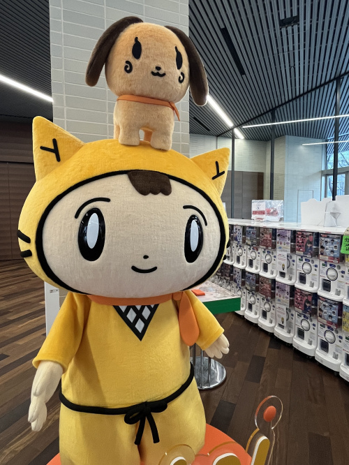 市有地の購入は個人でも可能か知りたい方へ！条件や手続きも市有地購入時の注意点として解説の画像