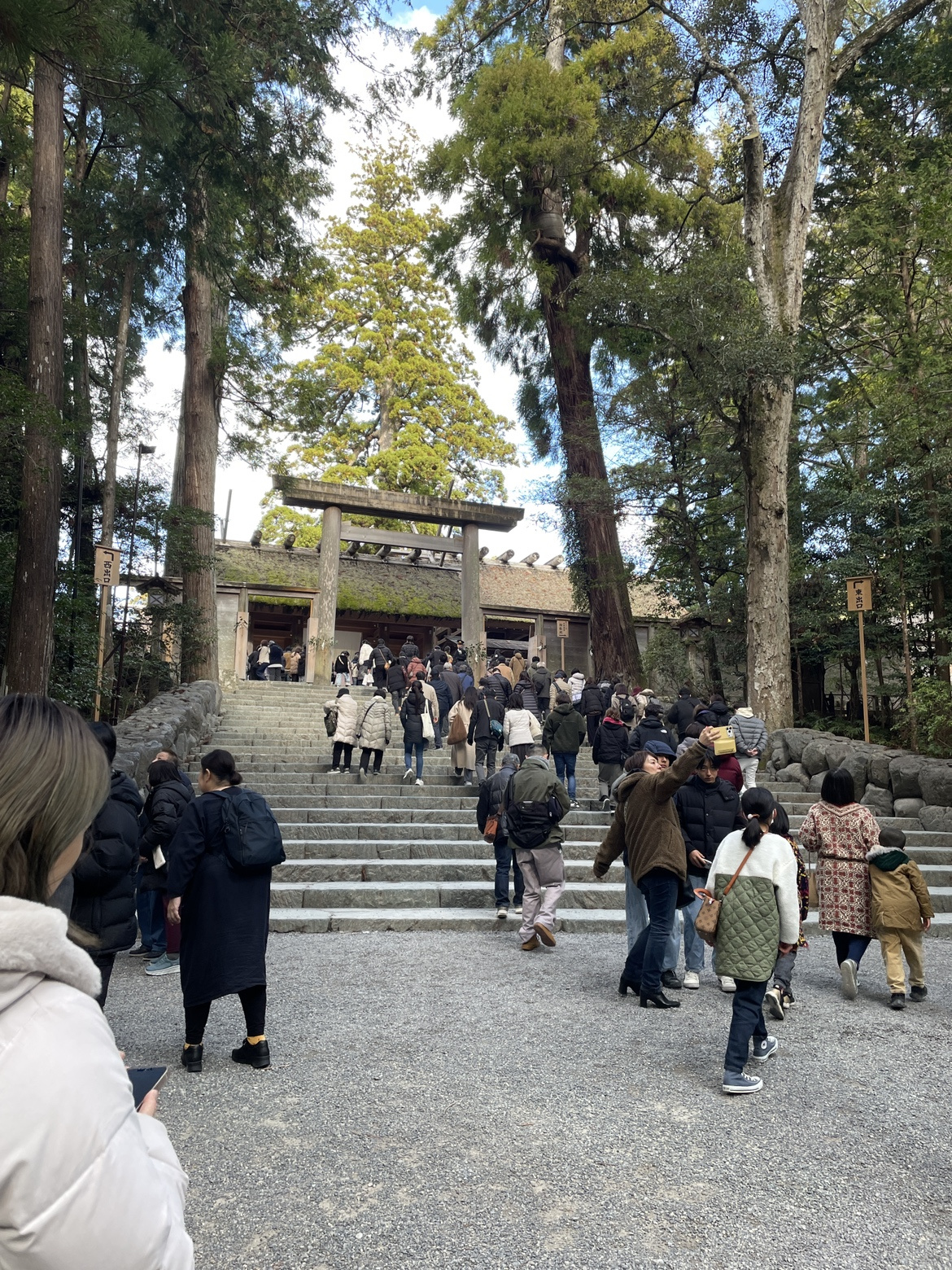 たわいもない話⑧の画像