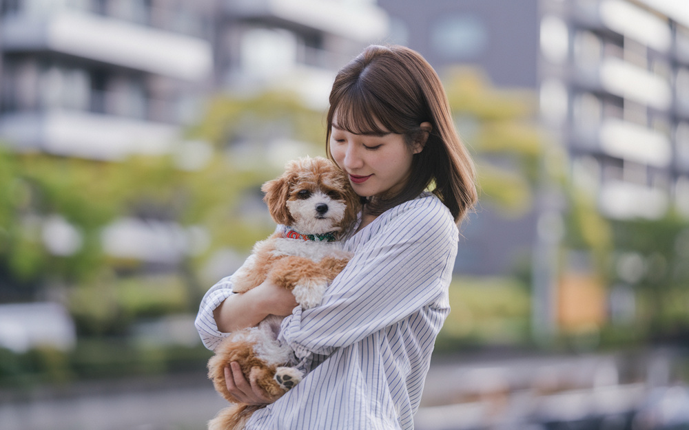 江東区で賃貸を探すならペット可物件はどう選ぶ？周辺環境や設備もご紹介の画像