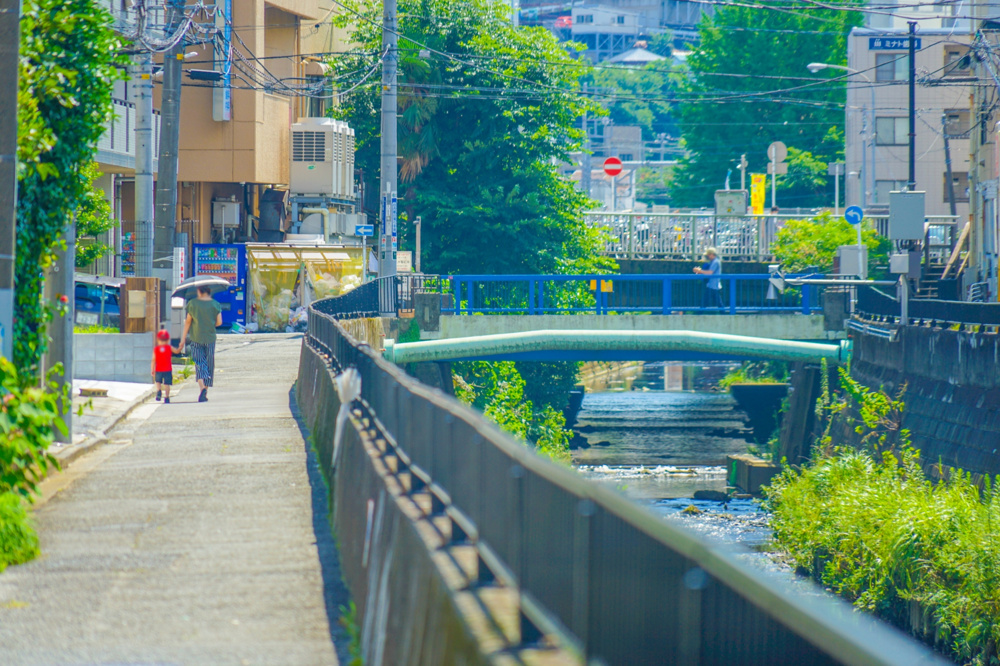 Vol.264  当社もある保土ケ谷区ってどんな街？暮らしのリアルの画像