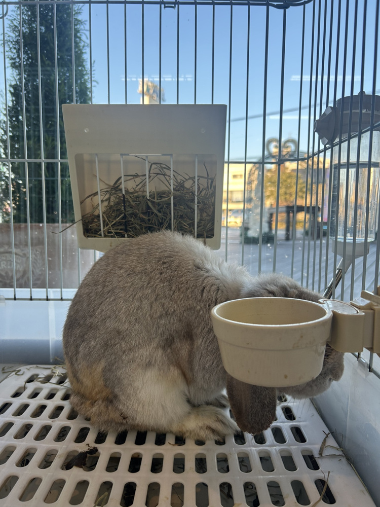 節分の日、福を迎える一日にの画像