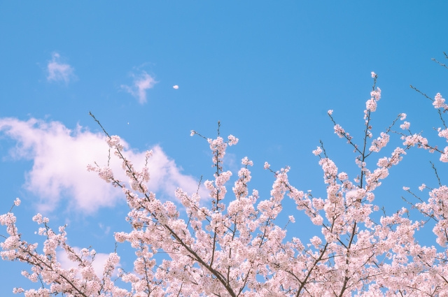 ”これ知ってる？”　部屋の隅にいる大黒柱『冷蔵庫』の引越し注意点 の画像