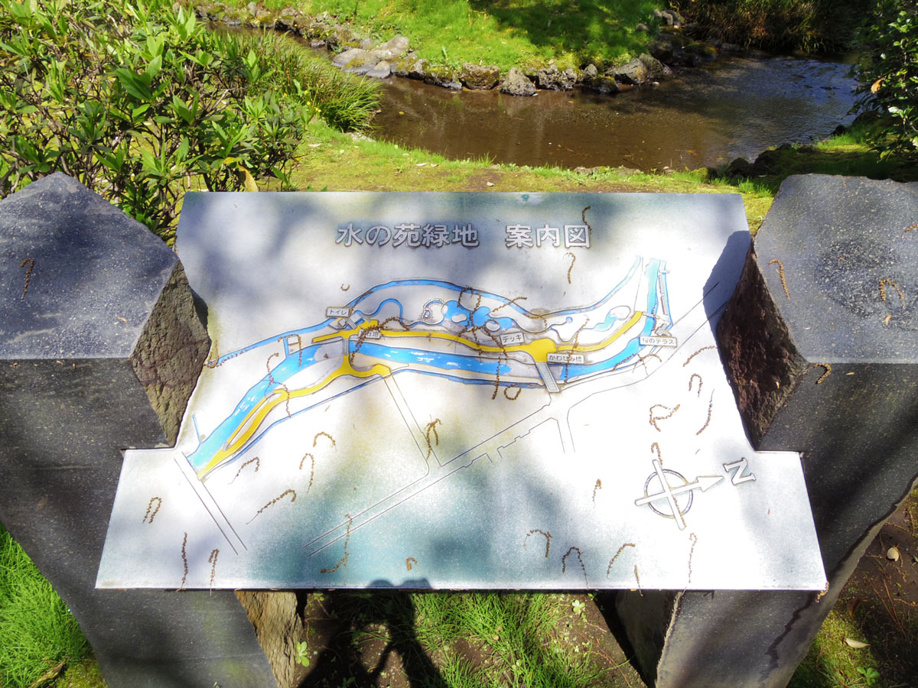 三島市源兵衛川遊歩道　6号水の苑緑地までぶらり散歩