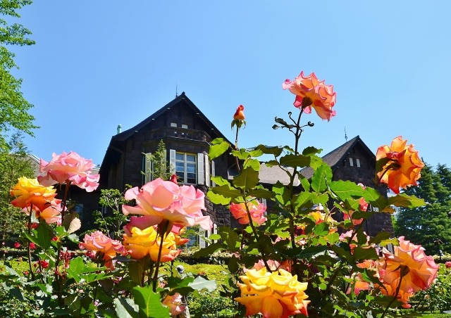 旧古河庭園（きゅうふるかわていえん）の画像