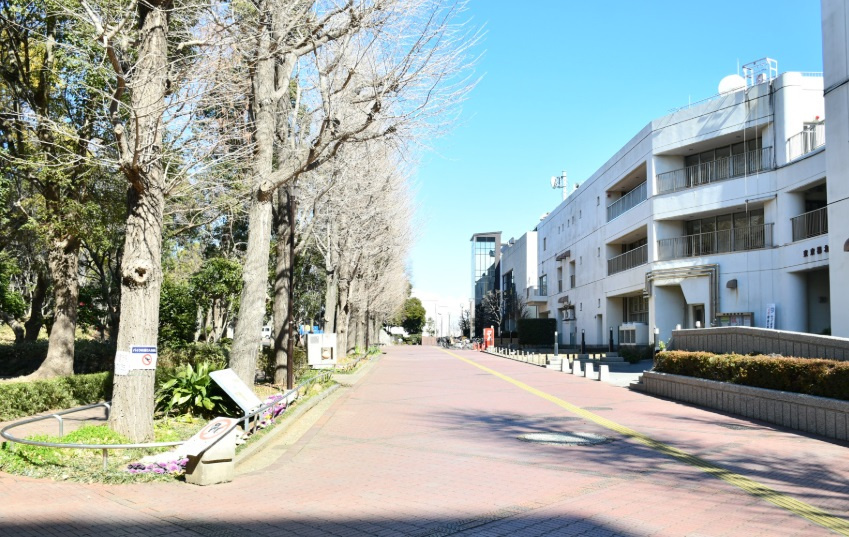 滝野川公園（たきのがわこうえん）の画像
