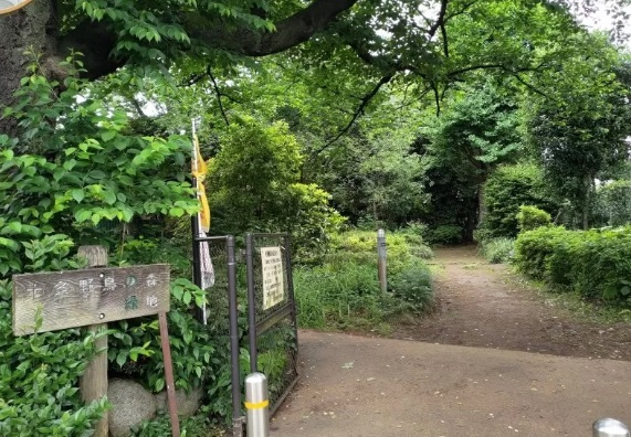 十条野鳥の森緑地（じゅうじょうやちょうのもりりょくち）の画像
